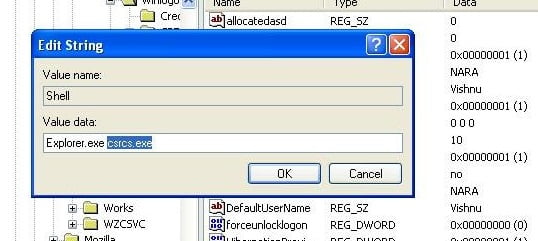 Cum scapam de eroarea csrcs punct exe