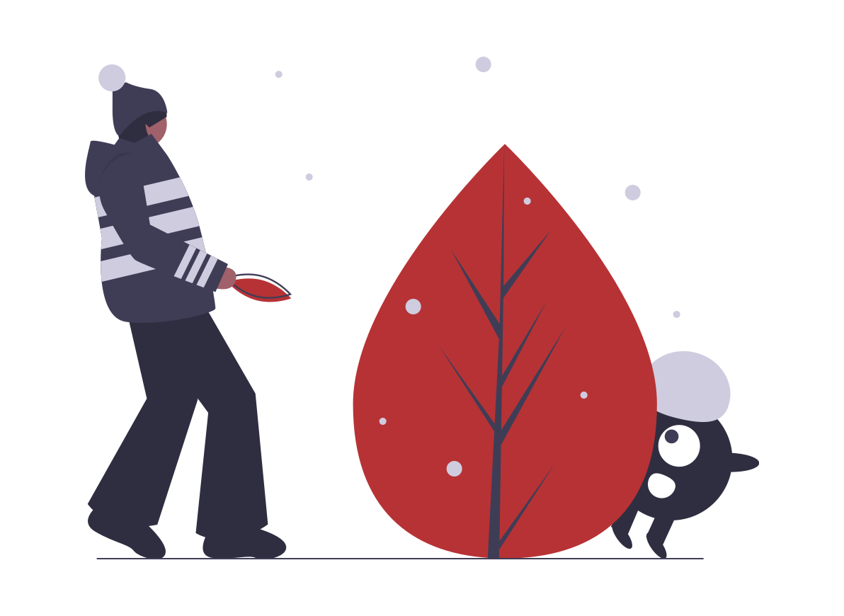 undraw_winter_magic_5xu2 Solutii complete camere frigorifice - pasul 2